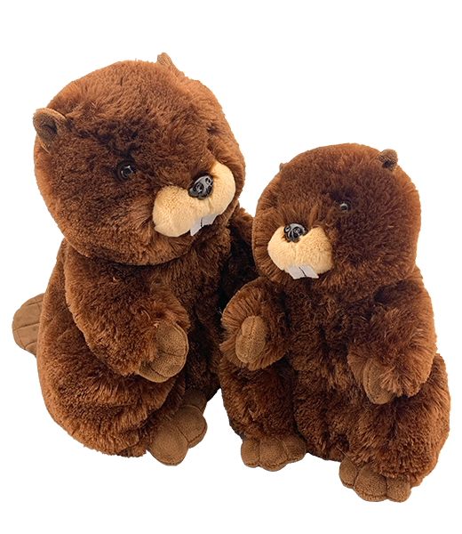 "Justin" Beaver (16')