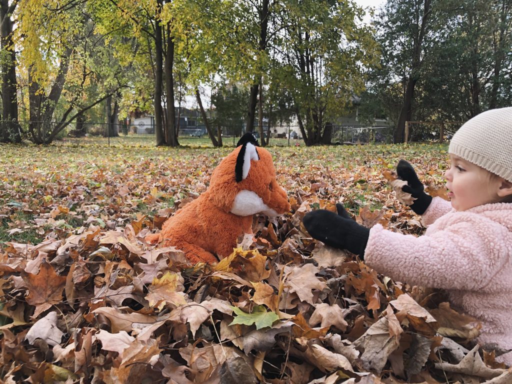 16" Finn the Fox (Eco)