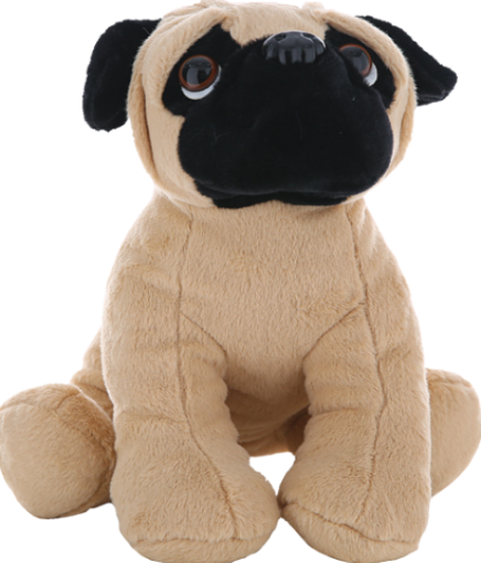 Pug