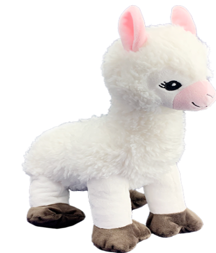 "Lily" the Llama