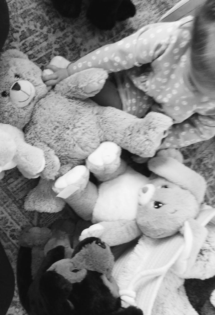 16" Rhodes the Long Hair Bear