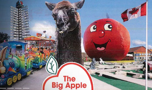 Big Apple, Big Teddy Party with Outfits