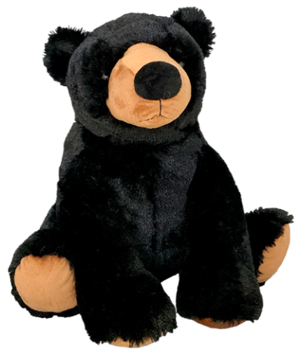 Black Bear
