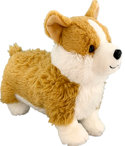 Corgi