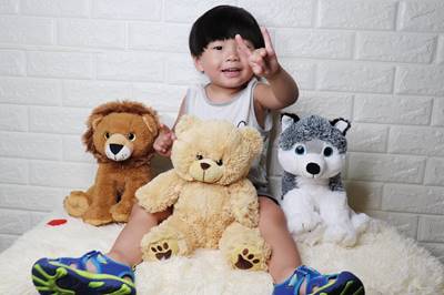 16" Leo the Lion (Eco)